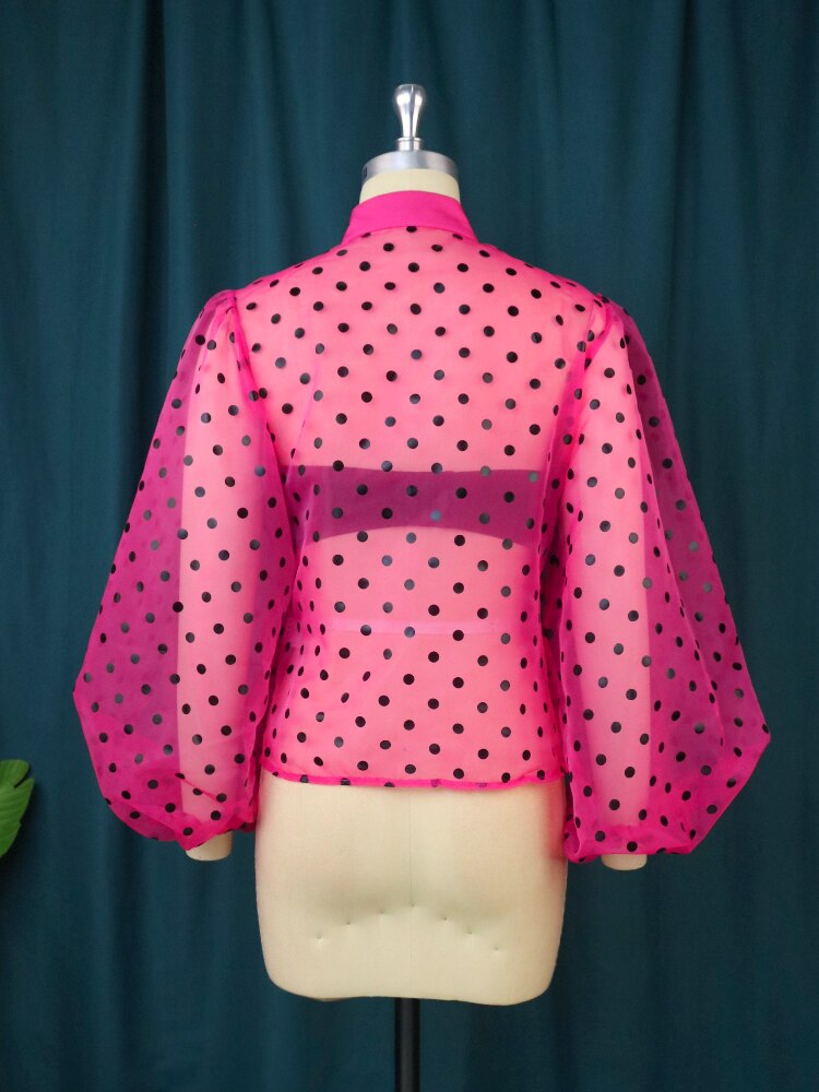 AOMEI Women Transparent Shirt Polka Dot Tops