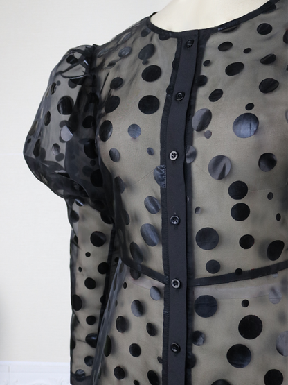 Women See Through Black Organza Dots Casual  Dress